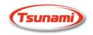 Tsunami
