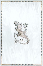 Агама Декор 20х30 (ИБК)