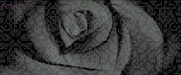 Neo Geo Roza EFEKTA сzarna Декор 25x60 Neo Geo Roza EFEKTA сzarna Декор 25x60