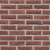 12454110 Pampas - С-000116496