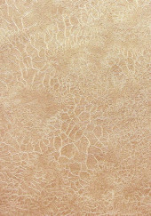 Обои Shiny2 серия 3016-6 (10*1,06 м) 9 рулонов/уп. - С-000054725 Обои Shiny2 серия 3016-6 (10*1,06 м) 9 рулонов/уп. - С-000054725