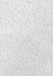 Обои Shiny2 серия 3004-9 (10*1,06 м) 9 рулонов/уп. - С-000054966 Обои Shiny2 серия 3004-9 (10*1,06 м) 9 рулонов/уп. - С-000054966