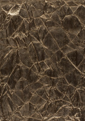 Ткань портьерная Dim Out Wispy - 2