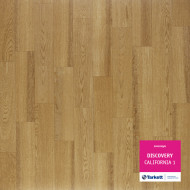 Tarkett DISCOVERY CALIFORNIA 1 - 3,1м Tarkett DISCOVERY CALIFORNIA 1 - 3,1м