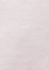 Обои Shiny2 серия 3004-5 (10*1,06 м) 9 рулонов/уп. - С-000054463 Обои Shiny2 серия 3004-5 (10*1,06 м) 9 рулонов/уп. - С-000054463