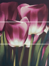 Gela Citymax Панно (из 3х плиток) 81x60