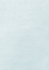 Обои Shiny2 серия 3004-11 (10*1,06 м) 9 рулонов/уп. - С-000054965 Обои Shiny2 серия 3004-11 (10*1,06 м) 9 рулонов/уп. - С-000054965