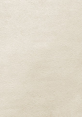 Обои Shiny2 серия 3004-2 (10*1,06 м) 9 рулонов/уп. - С-000055058 Обои Shiny2 серия 3004-2 (10*1,06 м) 9 рулонов/уп. - С-000055058