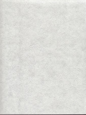 Обои «Палитра» 4022-01 (1,06х25,05м) 5 шт - С-000021105