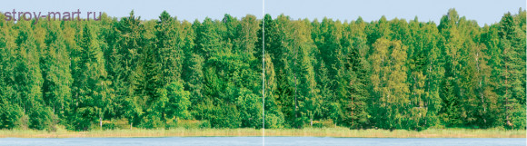 Dec Forest Panno (панно из 2-х шт) КПН16Forest 25х90 Dec Forest Panno (панно из 2-х шт) КПН16Forest 25х90