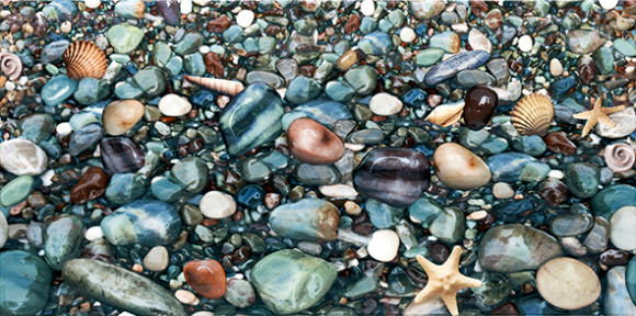 Ривьера ВС9РВ024 Декор 24,9х50 Ривьера ВС9РВ024 Декор 24,9х50