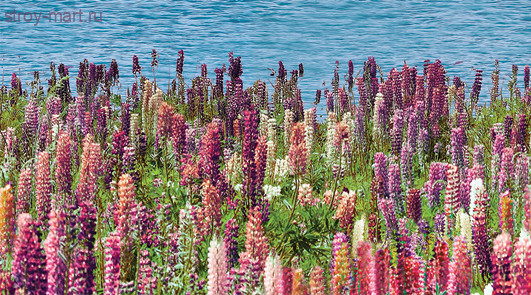 Dec Flora Декор КВС16Flora 25х45 Dec Flora Декор КВС16Flora 25х45