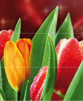 Syntia Tulip B Панно (из 3пл) 60х50 Syntia Tulip B Панно (из 3пл) 60х50