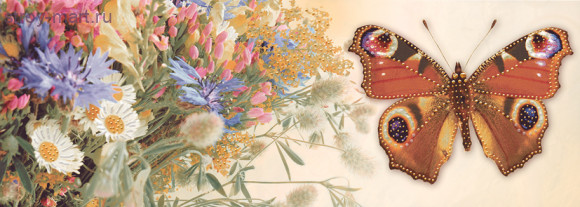 Dec Mariposa Blood Декор 25х70 Dec Mariposa Blood Декор 25х70