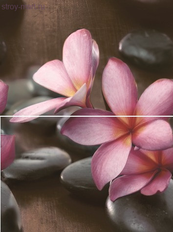 Sauna Панно P2D174 30х40 (из 2-х пл.) Sauna Панно P2D174 30х40 (из 2-х пл.)