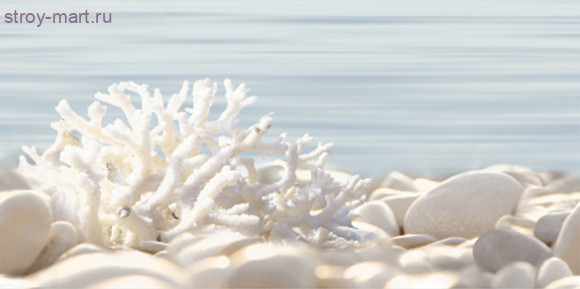 Дель маре Декор ВС9ДМ624 24,9х50 Дель маре Декор ВС9ДМ624 24,9х50