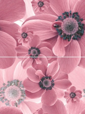 Pastel Панно P2-1D124 30х40 (из 2-х пл.)