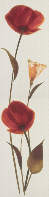 Fiorela Naranja Панно (из 2-х пл.) 25х100 3шт