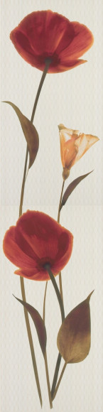 Fiorela Naranja Панно (из 2-х пл.) 25х100 3шт Fiorela Naranja Панно (из 2-х пл.) 25х100 3шт