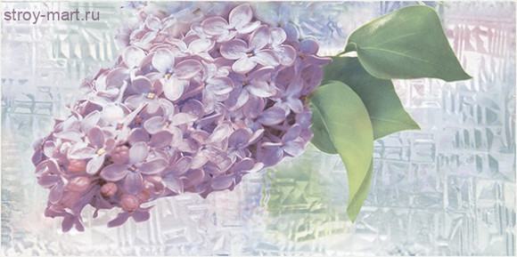 Сирио Декор ВС9СИ123 50х24,9 Сирио Декор ВС9СИ123 50х24,9