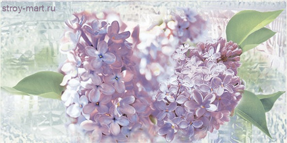 Сирио Декор ВС9СИ103 50х24,9 Сирио Декор ВС9СИ103 50х24,9