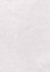 Обои Orion серия 4042-2 (1,06x10м) 9рул/уп - С-000098050 Обои Orion серия 4042-2 (1,06x10м) 9рул/уп - С-000098050