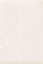 Обои Палитра 6092-21 (10*0,53) 12 рул /уп - С-000094333 Обои Палитра 6092-21 (10*0,53) 12 рул /уп - С-000094333