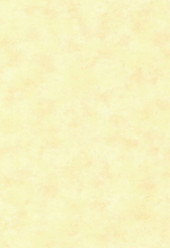 Обои «Палитра'7256-22 (1,06х10,05м) 6рулонов/упак - С-000110633