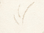 Ковролин ITC Zanzibar 001 белый - 3 м Ковролин ITC Zanzibar 001 белый - 3 м