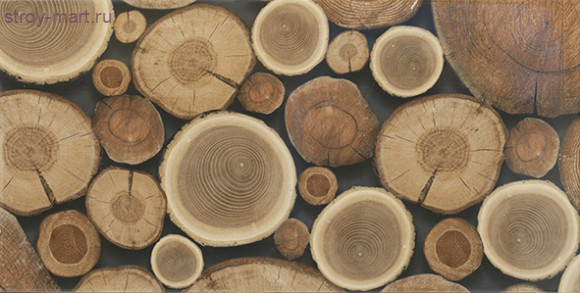 Веста ВС9ВТ024 Декор 24,9х50 Веста ВС9ВТ024 Декор 24,9х50