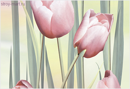 Рефлекс Тюльпан Декор ВС7РТ105 36,4х24,9 Рефлекс Тюльпан Декор ВС7РТ105 36,4х24,9