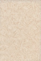 Обои Палитра 6267-25 (10*0,53) 12 рул /уп - С-000092206