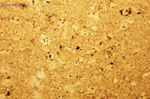 Пробковый пол IBERCORK Линарис Пробковый пол IBERCORK Линарис