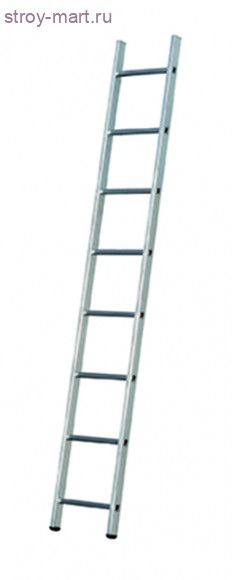 Лестница односекционная Centaure BS 1*10 / 242110 - С-000103005 Лестница односекционная Centaure BS 1*10 / 242110 - С-000103005