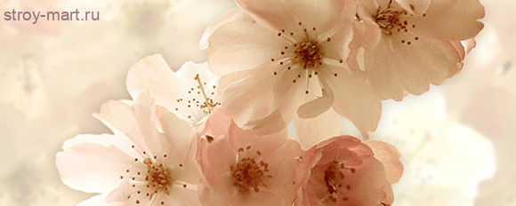 Dec Manzano Panno B КПН17ManzanoB 20х50 Dec Manzano Panno B КПН17ManzanoB 20х50