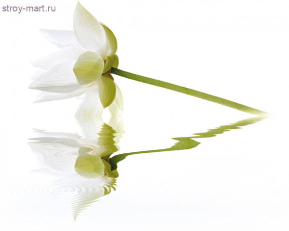 City White Lilies Панно 40x50 (2пл) City White Lilies Панно 40x50 (2пл)