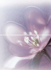 Лила Панно из 2 плиток ПН7ЛЛ2 36,4х49,8 Лила Панно из 2 плиток ПН7ЛЛ2 36,4х49,8