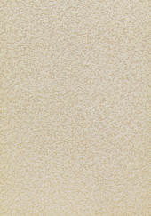 Обои Play Today 1251-3 (0,53*10м) 12 рул/уп. - С-000100652 Обои Play Today 1251-3 (0,53*10м) 12 рул/уп. - С-000100652