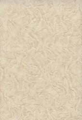 Обои Палитра 6267-18 (10*0,53) 12 рул /уп - С-000092204