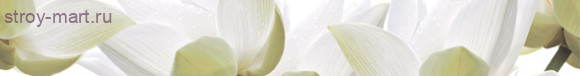 City White Lilies listwa Бордюр 6,5х50 City White Lilies listwa Бордюр 6,5х50