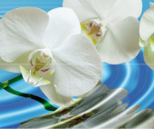 Water Garden А Панно (из 2пл) 60х50 Water Garden А Панно (из 2пл) 60х50