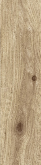 Forest Кедр 2m02/gr 15x60 Forest Кедр 2m02/gr 15x60