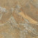 Манетик Раст Голд 60х60 неполированный Манетик Раст Голд 60х60 неполированный