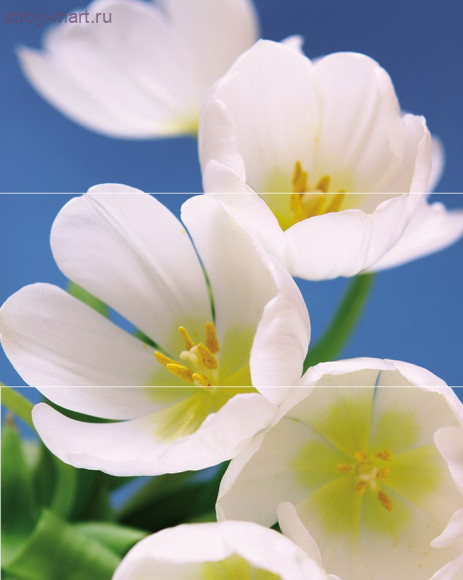 Blue Garden Панно (из 3пл) 75x60 Blue Garden Панно (из 3пл) 75x60