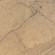 Daino Real Noce Керамогранит 32,5х32,5 Daino Real Noce Керамогранит 32,5х32,5