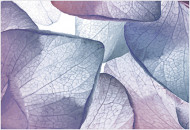 Рефлекс Ультра Декор ВС7РУ625 36,4х24,9 Рефлекс Ультра Декор ВС7РУ625 36,4х24,9