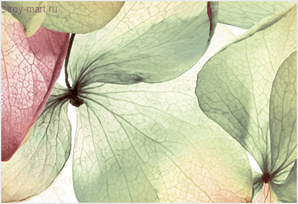 Рефлекс Ультра Декор ВС7РУ105 36,4х24,9 Рефлекс Ультра Декор ВС7РУ105 36,4х24,9