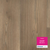 Tarkett GALAXY DALLAS 4 - 3,5м