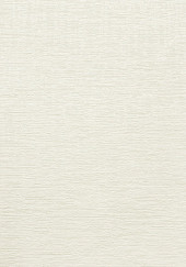 Обои Patrizia 1290-6 (10,05*0,53 м) 12 рулонов/уп. - С-000116064 Обои Patrizia 1290-6 (10,05*0,53 м) 12 рулонов/уп. - С-000116064