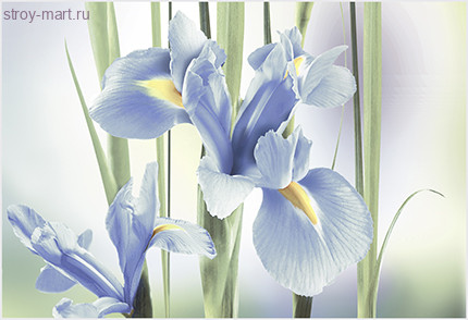 Рефлекс Ирис Декор ВС7РИ103 36,4х24,9